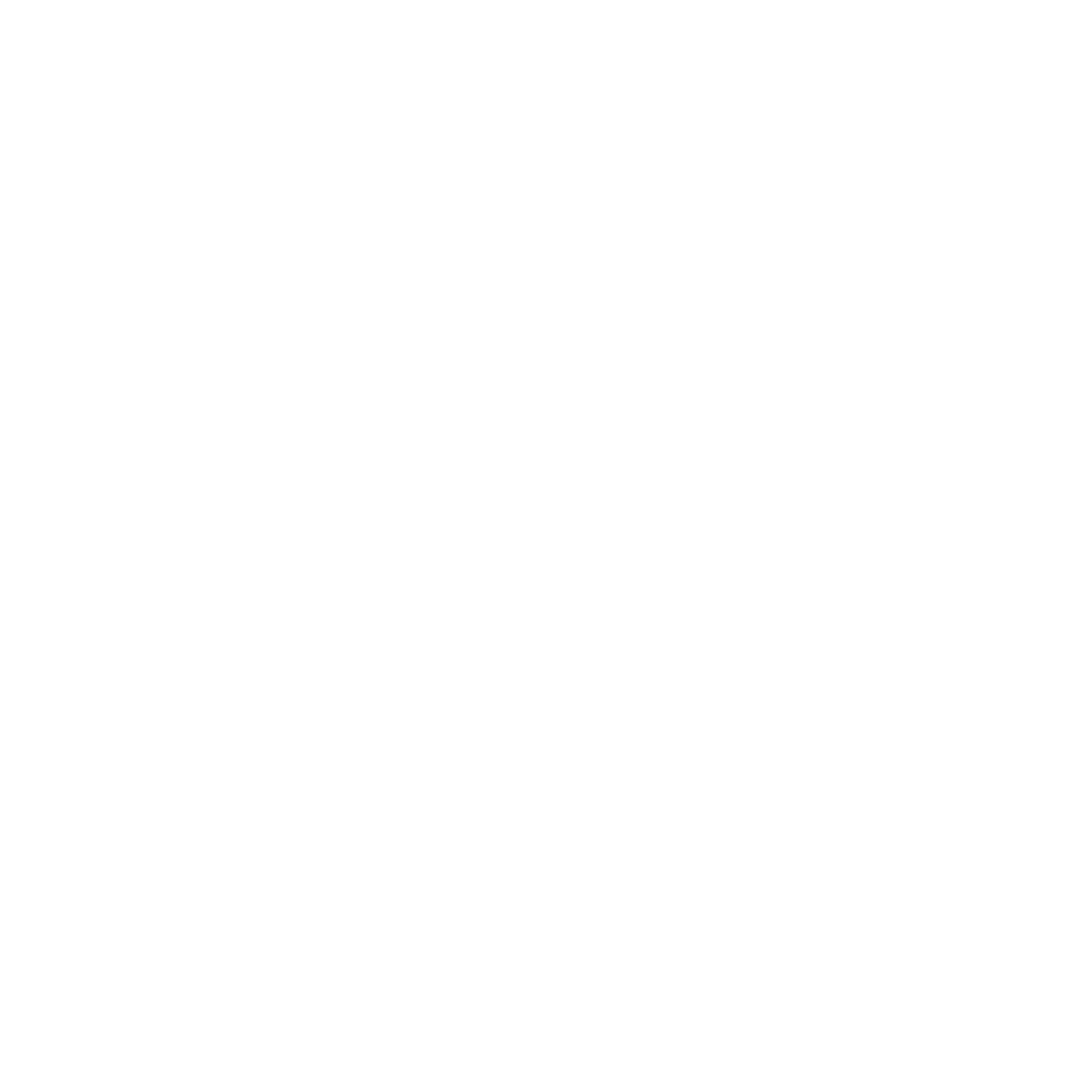 roy luo